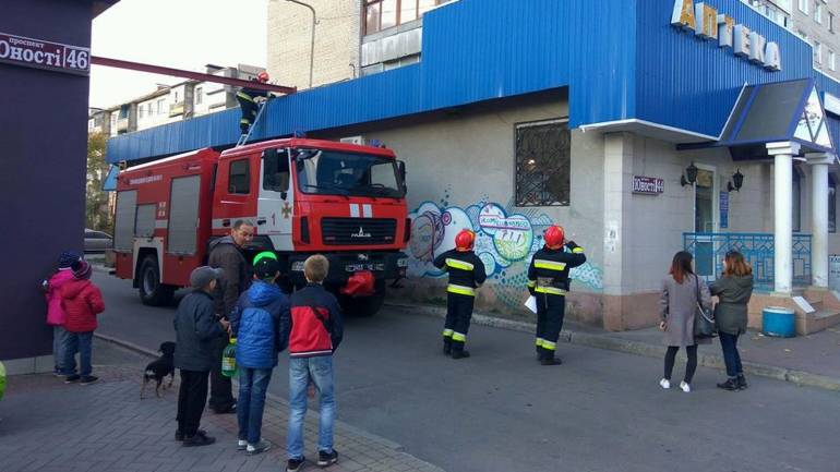 Вінничанка з рятувальниками дістали кошеня, яке три дні кликало на допомогу (ФОТО)