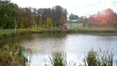 Головний &laquo;антикорупціонер&raquo; обласної ради та великий агрохолдинг: хто орендує водойми Томашпільщини