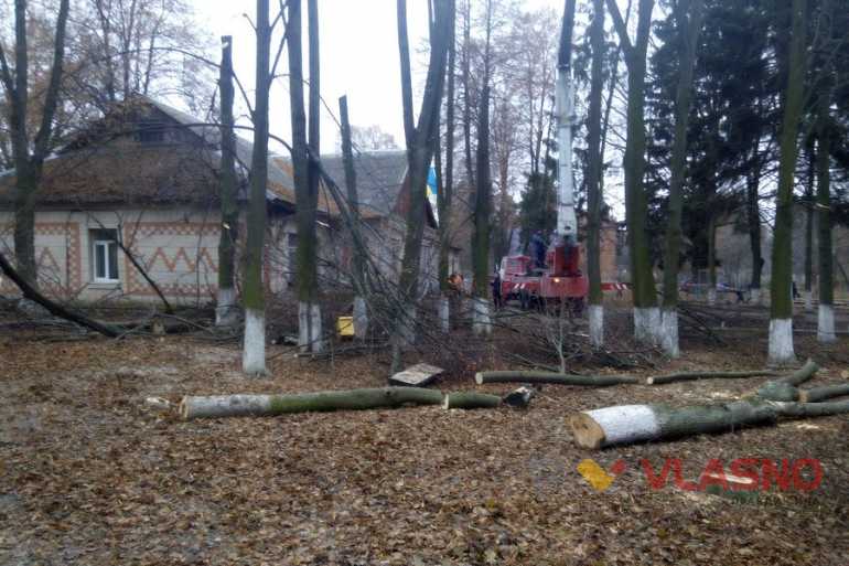 Агрономічне-вирубка-дерев-фото
