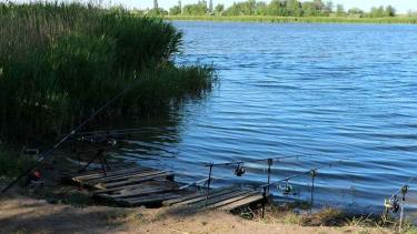 Депутат райради та місцеві фермери: хто ловить рибу у Чечельницьких ставках