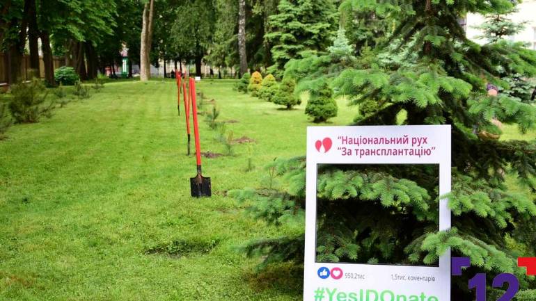 У Вінниці пацієнти із пересадженими органами висадять &laquo;алею життя&raquo;