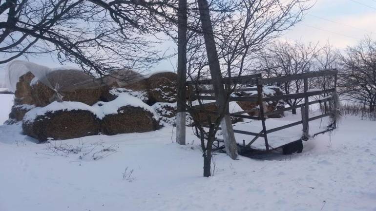 На Харківщині мати залишила двомісячне немовля на морозі і втекла