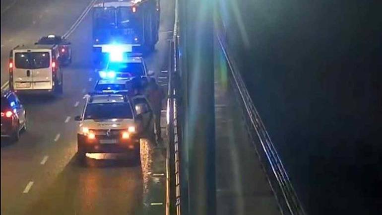 Вінницький суд оштрафував студентів за пошкодження скульптури кота на 119 гривень