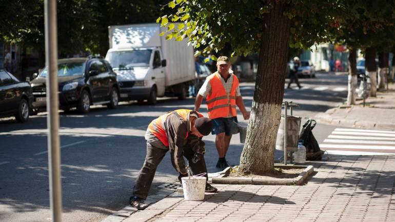В Івано-Франківську планують штрафувати за побілку бордюрів та стовпів