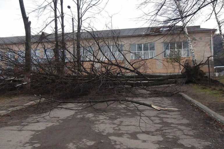 На Прикарпатті вже другу добу оголошено штормове попередження - вітер зриває дахи та викорчовує дерева