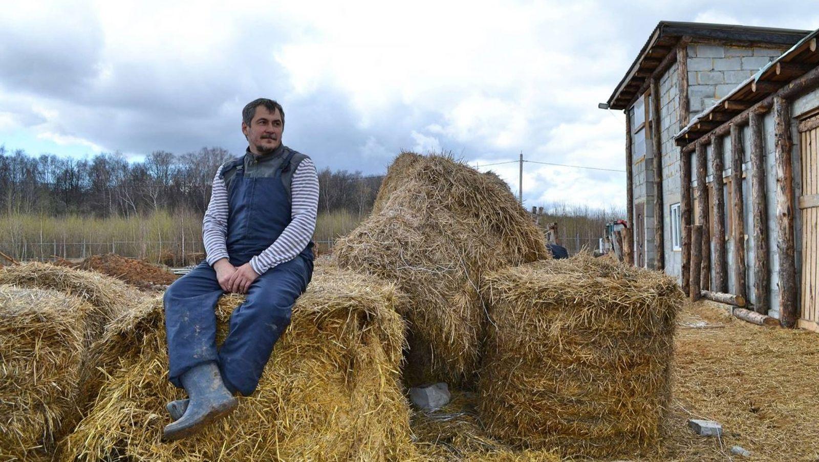В Україні запровадили нове свято