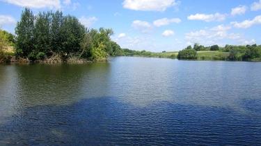 Підприємці, атовці, фермери, районні та сільські депутати: хто орендує понад дві тисяч гектарів водойм у Калинівському районі