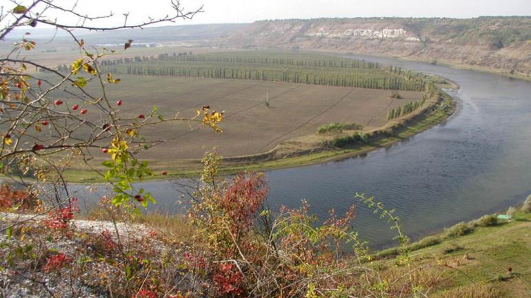 Двоє юнаків з Молдови нелегально перетнули кордон, щоб відвідати друзів з Вінниччини