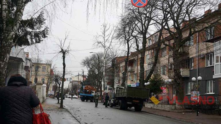 У Вінниці на чотирьох вулицях відключають світло: зрізають аварійні дерева (ФОТО)