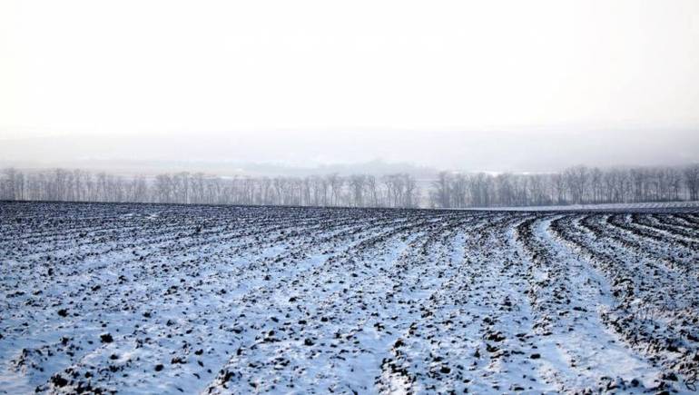 На Вінниччині 27,2 гектари землі повернули у державну власність