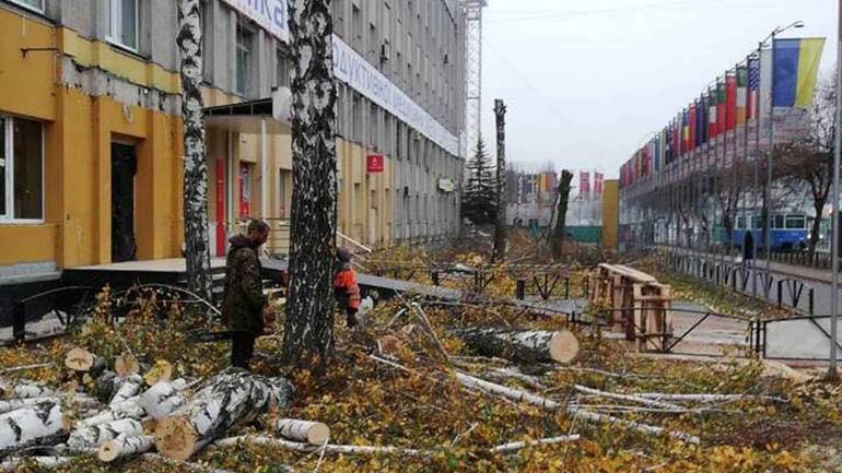 Вінницькі чиновники не розкривають таємниці зрізаних дерев на Келецькій