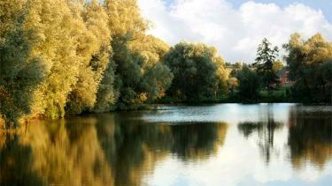 Компанія Міністра охорони здоров'я Степанова орендує став у Хмільницькому районі на Вінниччині (АНАЛІТИКА)