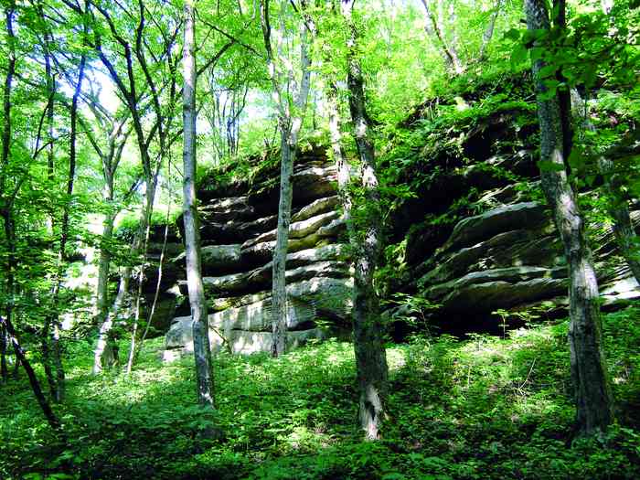 Гайдамацький Яр фото