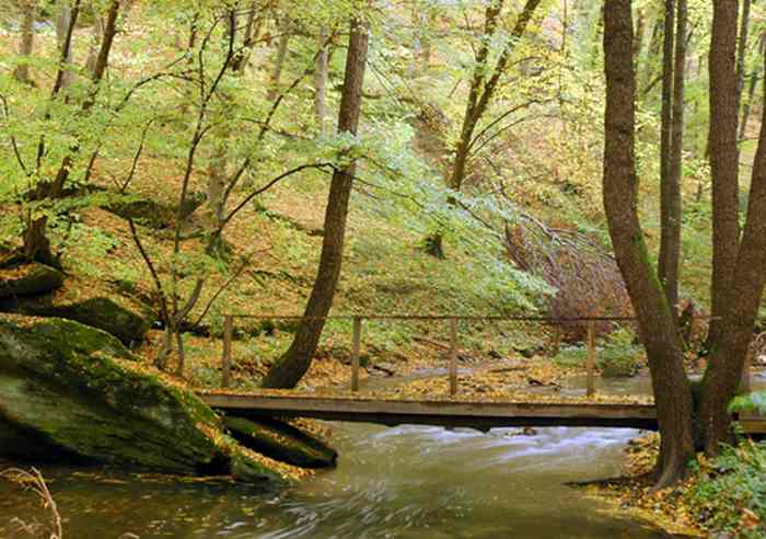 Гайдамацький Яр фото