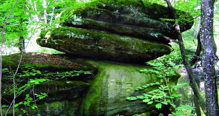 Гайдамацький Яр фото