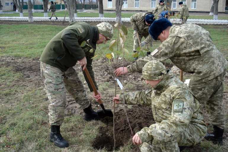 сад на честь загиблих прикордонників фото