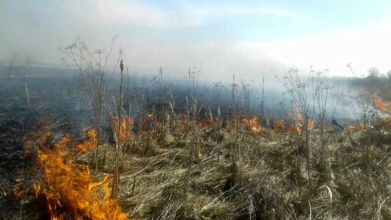 Рятувальники Вінниччини за добу 33 рази ліквідували пожежі в екосистемах