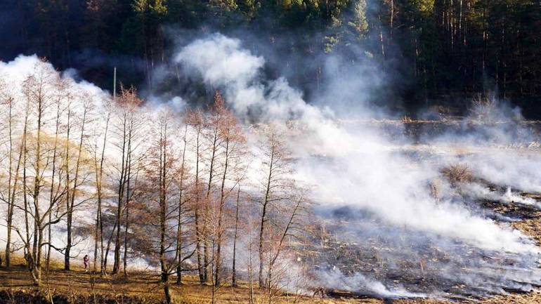 Поблизу Вінниці горів майже гектар поля