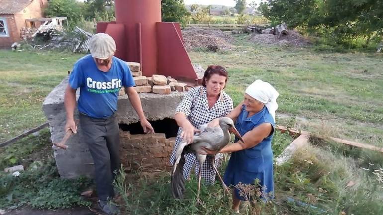&laquo;Чорний, як сажотрус&raquo;: мешканці Вінниччини витягли лелеку з димаря
