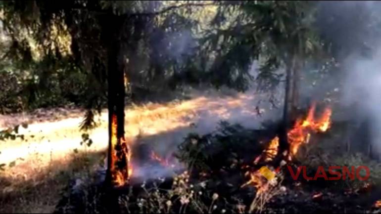 Впритул до заповідної території на Вінниччині палали трава і дерева (ВІДЕО)