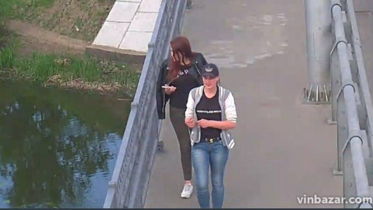 Вінницька поліція віднайшла дівчат, які намагалися збити металеву скульптуру