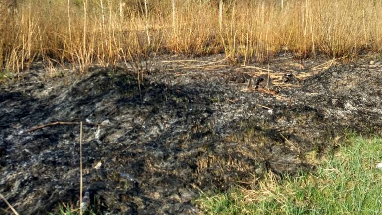 На Вінниччині протягом доби близько десяти разів горіла суха трава